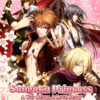 Destiny’s Princess Destiny's Princess